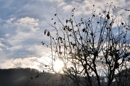 Im tiefen Mittwinter verschwindet die Sonne schon um 15:00 Uhr wieder hinter dem Berg, schön aber, wenn sie davor wenigstens mal kurz vorbeigeschaut hat... (Foto: Martin Dühning)