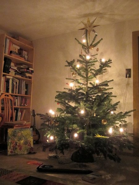 2014 gab es nach 22 baumlosen Jahren auch erstmals wieder einen eigenen Christbaum. (Foto: Martin Dühning)