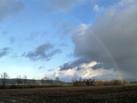 Ein Regenbogen im irischen Schauerwetter des 11. Januar 2015 (Foto: Martin Dühning)