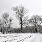 Verschneites Oberlauchringen bei der Mühlegrabenbrücke Richtung Galgenbuck am 1. Januar 2015. (Foto: Martin Dühning)