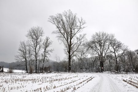 Verschneites Oberlauchringen bei der Mühlegrabenbrücke Richtung Galgenbuck am 1. Januar 2015. (Foto: Martin Dühning)