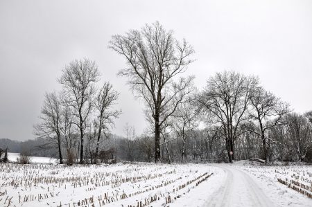 Verschneites Oberlauchringen bei der Mühlegrabenbrücke Richtung Galgenbuck am 1. Januar 2015. (Foto: Martin Dühning)