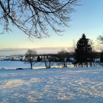 Den Hochschwarzwald wie hier Höchenschwand am 12. Februar hält der Winter noch fest im Griff. Doch stehen die Alpen in der Ferne nun wieder erst nach 17 Uhr im Abendsonnenschein - und in absehbarer Zeit wird die Sonne wieder stark genug sein, den Hochnebel im Rheintal aufzulösen (Foto: Martin Dühning).