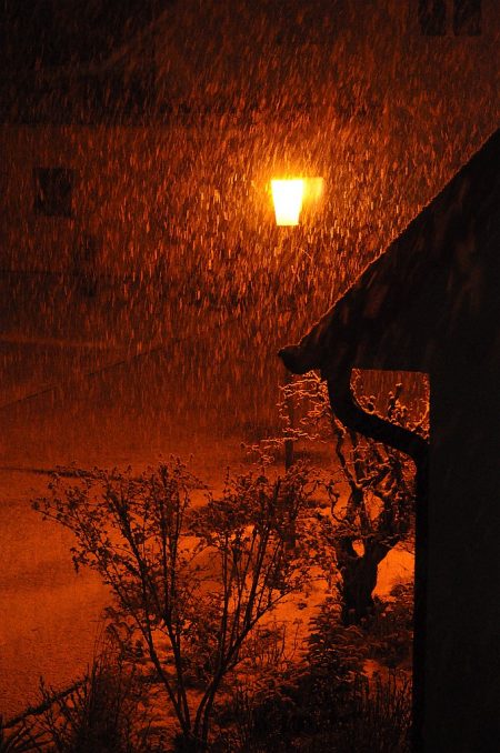 Nächtlicher Schneefall Anfang Februar (Foto: Martin Dühning)