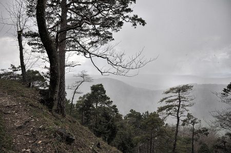 Seelenlandschaft: Der Klettgau zeigte sich am Ostersonntag düster, dezembrig und schaurig einsam. (Foto: Martin Dühning)