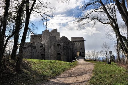 Wenig später kommt schon ein bisschen Frühling... (Foto: Martin Dühning)