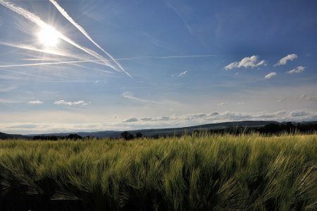 Blau strahlt die Sonne am Junihimmel, die Getreidefelder noch grün und der auf den noch vorhandenen Ackerflächen allgegenwärtige Mai noch niedrig genug, um darüber hinweg zu fotografieren (Foto: Martin Dühning).