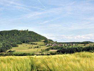 Die Küssaburg mit Bechtersbohl im Juni 2015 (Foto: Martin Dühning)