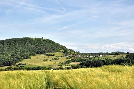 Die Küssaburg mit Bechtersbohl im Juni 2015 (Foto: Martin Dühning)