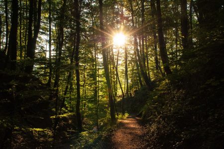 Etwas Sonne bot der Juni 2015, aber kaum freie Zeit. (Foto: Martin Dühning)