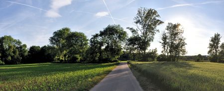 Um die Ecke herrschen noch pastorale Ansichten, mal abgesehen vom Zuchtmais links im Bild (Foto: Martin Dühning).