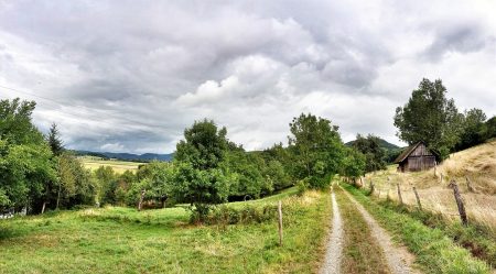 Herbstimpressionen Mitte August 2015 bei Oberlauchringen - einer der wenigen Ausblicke, die noch nicht zugebaut sind (Foto: Martin Dühning)