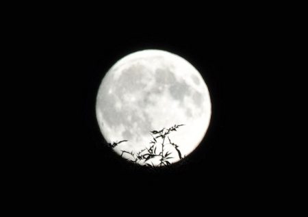 Der Supermond am 28. August 2015 (Foto: Martin Dühning)