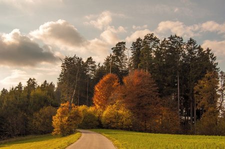 Herbstlich bunter Weg nahe der Kapelle von Baltersweil (Foto: Salome Lainarkunion)