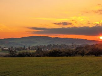 Abendsonne am 25. Oktober 2015 bei Baltersweil (Foto: Salome Leinarkunion)