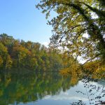 Herbstaue am Hochrhein im Oktober 2015 (Foto: Salome Leinarkunion)