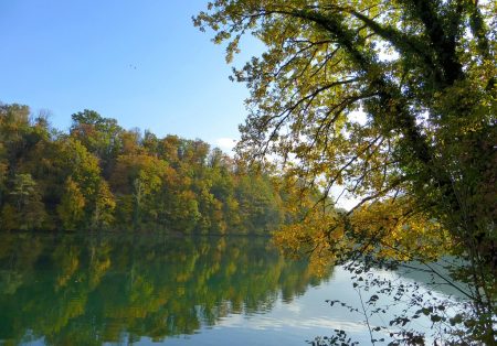 Herbstaue am Hochrhein im Oktober 2015 (Foto: Salome Leinarkunion)