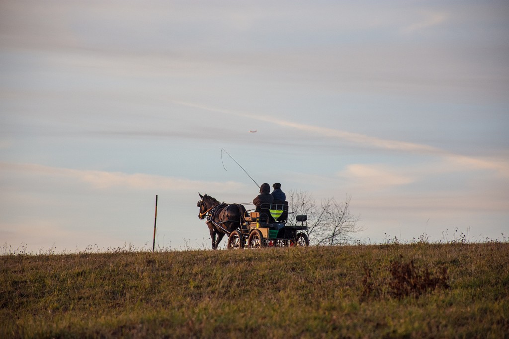 Eine gemütliche Kutsche rollt dem Abendrot entgegen (Foto: Martin Dühning).