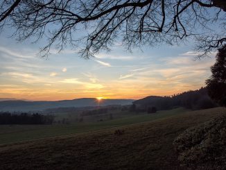 Unter den Zweigen der Baltersweiler Kapellenlinde breitet sich eine noch unbenebelte Vorwinterlandschaft aus (Foto: Martin Dühning).