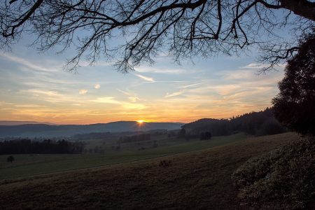 Unter den Zweigen der Baltersweiler Kapellenlinde breitet sich eine noch unbenebelte Vorwinterlandschaft aus (Foto: Martin Dühning).