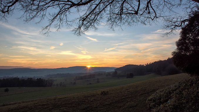 Unter den Zweigen der Baltersweiler Kapellenlinde breitet sich eine noch unbenebelte Vorwinterlandschaft aus (Foto: Martin Dühning).