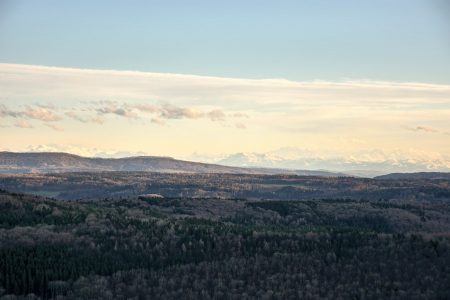 Alpen von der Küssaburg aus betrachtet (Foto: Salome Leinarkunion)