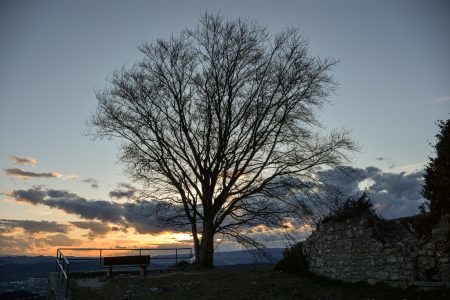 Ostermontagsdämmerung auf der Küssaburg Ende März 2016 (Foto: Martin Dühning)