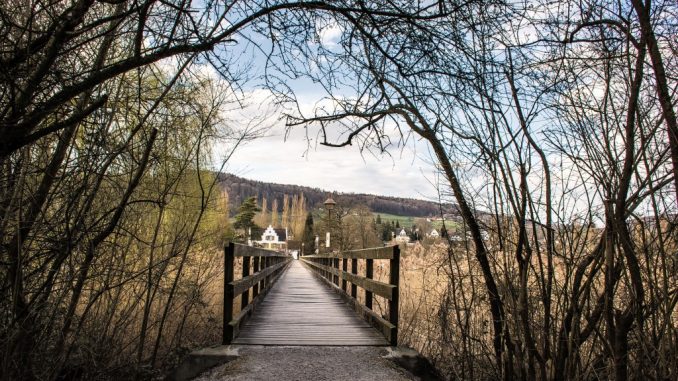 Der Eingang zur Franziskanerinsel Werd in Eschenz ist relativ gut versteckt und nicht ganz leicht zu finden, wenn man nicht weiß, wo man zu suchen hat. (Foto: Martin Dühning)