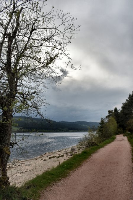 Rückweg mit Gewitterhimmel (Foto: Martin Dühning)