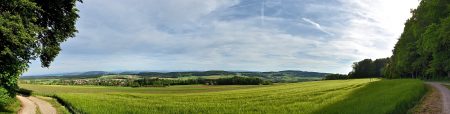 Grünes Panorama vom Eichberg Richtung Dettighofen (Foto: Martin Dühning)