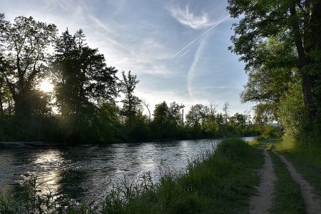 Uferweg am Hochrhein bei Rheinheim (Foto: Martin Dühning)