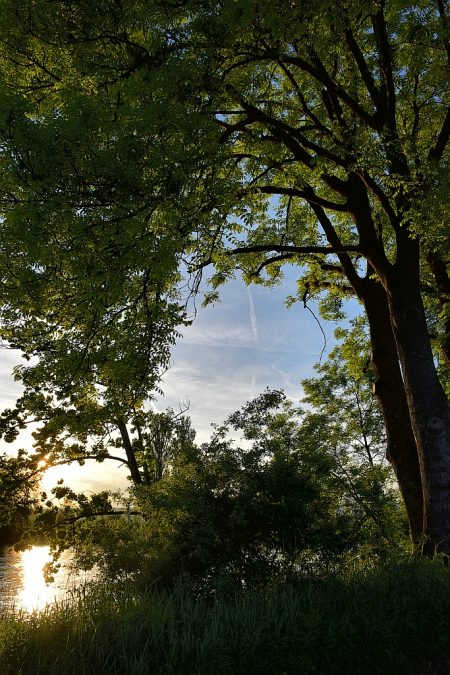 Sonnenuntergang bei Rheinheim am 21. Mai 2016 (Foto: Martin Dühning)