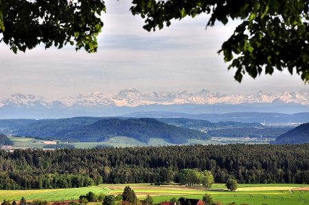 Alpensicht bei Baltersweil (Foto: Salome Leinarkunion)
