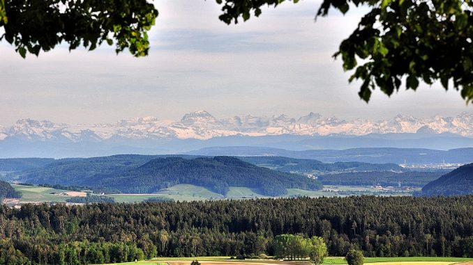 Alpensicht bei Baltersweil (Foto: Salome Leinarkunion)