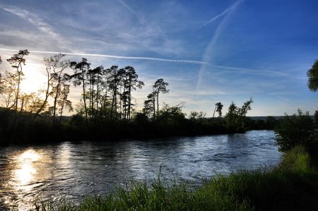 Abendsonne bei Rheinheim am 21. Mai 2016 (Foto: Salome Leinarkunion)