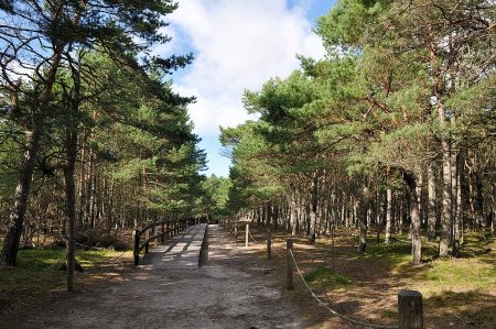 Slowinzischer Nationalpark (Foto: Martin Dühning)