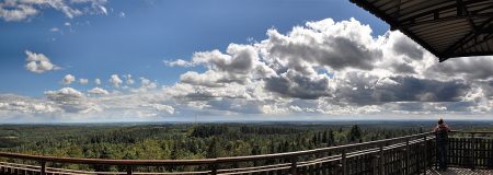 Panoramablick vom Aussichtsturm auf dem Turmberg (Foto: Martin Dühning)