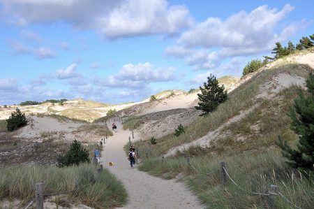 Pfad durch die Dünenlandschaft (Foto: Martin Dühning)