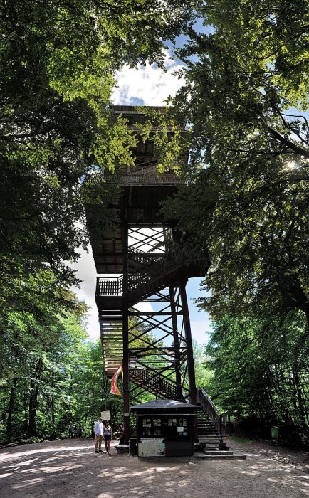 Der Aussichtsturm beim Turmberg in der Kaschubischen Schweiz (Foto: Martin Dühning)