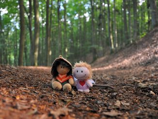 Verschnaufpause im Wald (Foto: Martin Dühning)