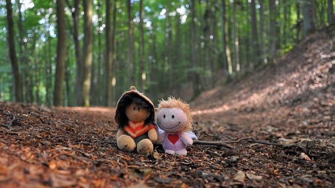 Verschnaufpause im Wald (Foto: Martin Dühning)