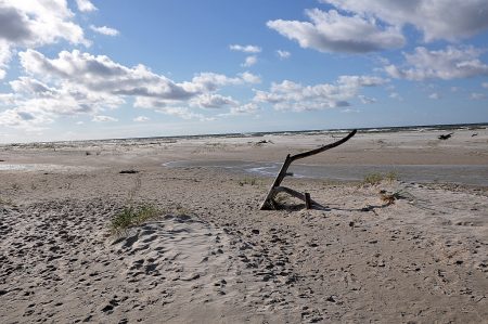 Endloser Sandstrand! (Foto: Martin Dühning)