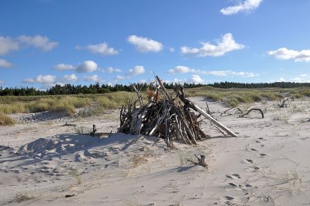 Treibholz am Strand (Foto: Martin Dühning)