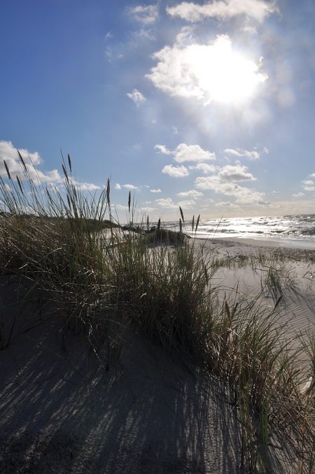 Sonnendämmer am Ostseestrand (Foto: Martin Dühning)