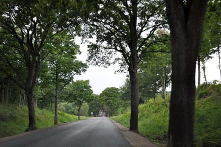 Landstraße in der Kaschubei nahe Oliva (Foto: Martin Dühning)