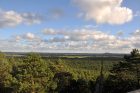 Blick vom Leuchtturm auf den Slowinzischen Nationalpark (Foto: Martin Dühning)