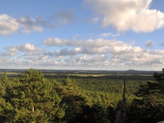 Blick vom Leuchtturm auf den Slowinzischen Nationalpark (Foto: Martin Dühning)