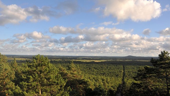 Blick vom Leuchtturm auf den Slowinzischen Nationalpark (Foto: Martin Dühning)