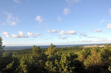 Blick vom Leuchtturm auf die Ostsee (Foto: Martin Dühning)