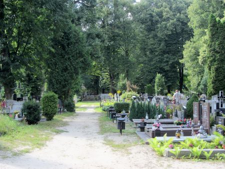 Der Friedhof von Oliva (Foto: Salome Leinarkunion)